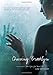 Chasing Brooklyn by Lisa Schroeder