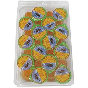 Namiba Terra 70211 Vorteilspack, 28 Stück Jungle Shop Beetle Vitamin Jelly für Insekten, 16 g pro Stück