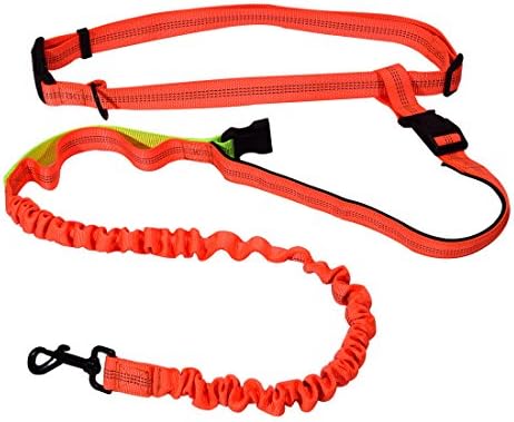 PPOGOO Hands Free Running Dog Lead Reflective Bungee Dog Walking Belt with Adjustable Waist Belt for Running Jogging Hiking Walking Shopping (Fits up to 49" waist)