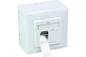 BIGtec Netzwerkdose Aufputz Unterputz CAT.6a 2 x RJ45 Buchse universal LAN Dose POE PoE+ fähig signalweiß RAL9003 geeignet für Verlegekabel Netzwerk-Kabel CAT8 CAT7 CAT6a CAT6 CAT5