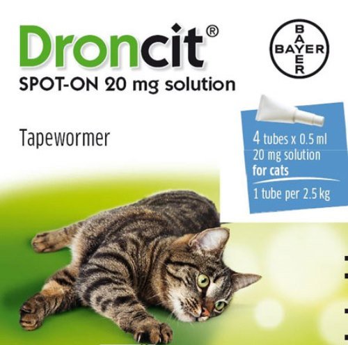 Bayer Droncit Vermifuge pour chat 4 x 0,5 ml