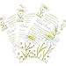 3 Pack Willowbrook Fresh Scents Large Fragrance Sachet - Baby Powder
