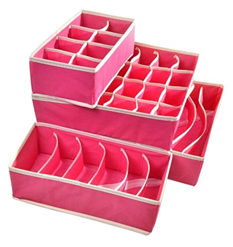 Organizador Ropa Interior: ¡El orden más ORIGINAL para tus prendas!