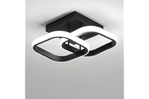 EIDISUNY Modern Ceiling Light LED 22W Cool White Light 6000K Square Black Ceiling Lights fixtures LED for Hallway Office Bedroom Kitchen Living Room Bedroom Entryway Balcony Stair Dining Room (Black)