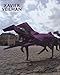 Xavier Veilhan : 1999-2009 by 