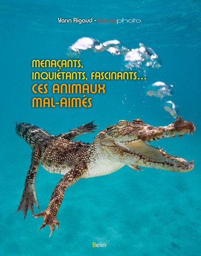 Menaçants, inquiétants, fascinants, ces animaux mal-aimés