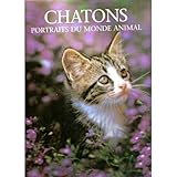 Chatons : Portraits du monde animal