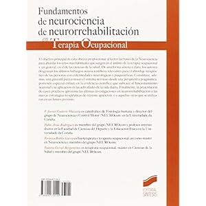 Fundamentos de neurociencia y neurorrehabilitación en Terapia Ocupacional