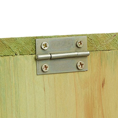 Relaxdays Eichhörnchen Futterhaus zum Stellen, Holz, Wetterfest, HBT: ca. 17,5 x 12 x 25 cm, grün - 6