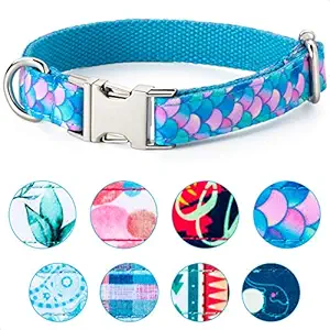 VIILOCK Adjustable Dog Collar Vibrant Webbing Puppy Collar for Small Medium Large Dogs and Cats (Mermaid Blue, M)