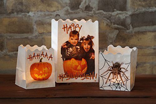 NEU Hobby Line Foto Transfer Potch 150ml [Haushaltswaren] - 3