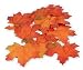 Produktbild Herbstlaub-Ahornblätter, 24 Stück, Herbstblätter Sortierung, Blätter - Maße: von ca. 4 cm - 8 cm