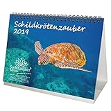Schildkrötenzauber · DIN A5 · Premium Tischkalender/Kalender 2019 · Schildkröte · Amphibien · Reptilien · Regenwald · Tiere · Wildnis · Natur · Edition Seelenzauber by