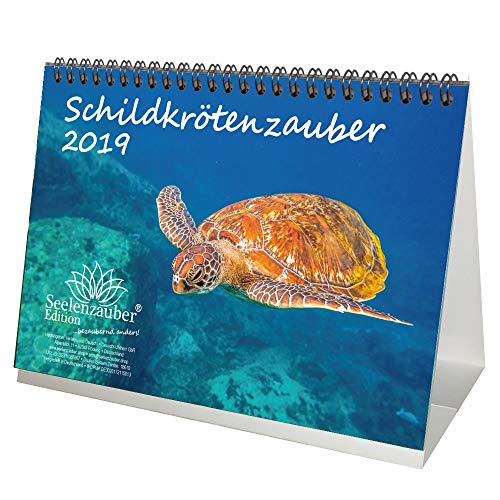 Schildkrötenzauber · DIN A5 · Premium Tischkalender/Kalender 2019 · Schildkröte · Amphibien · Reptilien · Regenwald · Tiere · Wildnis · Natur · Edition Seelenzauber