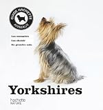 Image de Yorkshires