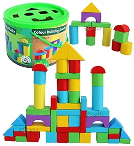 Toyshine 50 Pcs Wooden Building Blocks Set Wood Castle Blocks Kit Natural Stacking Cubes Montessori Toy for Toddlers Kids 3 to 6 Years Old