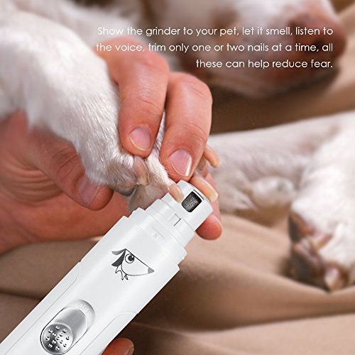 Amir-Pet-Nail-Grinder-Pet-Grooming-Kit-Rechargeable-Gentle-Paws-Nail-Grinder-for-Easter-Electric-Premium-Nail-Grinder-Professional-Pet-Nail-Trimmer-for-Dogs-and-Cats