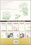 Image de FLORES FRUTAS Y HORTALIZAS (Arte Y Tecnica Del Dibujo / Art and Drawing Techniques)