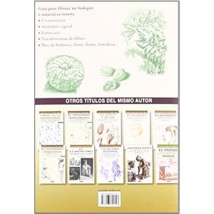FLORES FRUTAS Y HORTALIZAS (Arte Y Tecnica Del Dibujo / Art and Drawing Techniques)