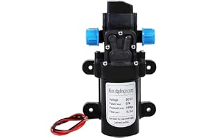 DC 12V Self Priming Water Pump 60W, 5L/min High Pressure Diaphragm Pump, 116 PSI Electric Pump for Car Wash, Garden, Sprayer, Water Transfer & Cleaning Systems