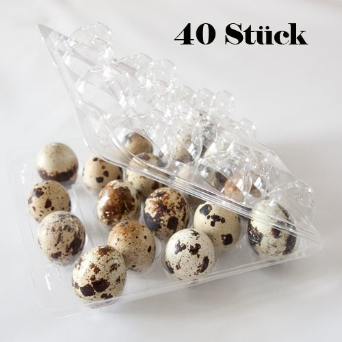 40 Stück Wachteleierschachteln, Eierschachteln für 18 Wachteleier aus OPS