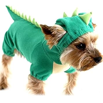 Znalezione obrazy dla zapytania green clothes
