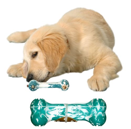 Preisvergleich Produktbild Kong Puppy Goodie Bone (Echtheitszertifikat) (tppb Seil)