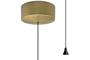 DIRECT ONLINE SHOPPING Brushed Gold Bathroom Pull Cord Light Switch 2 Way For Bedrooms And Home