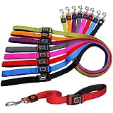 Hundeleine aus Premium-Nylon verstellbar 180 cm verschiedene Farben und Groessen XS, S, M, L, XL: Fuehrleine, Laufleine, stark, stabil, bequem, weich, farbig, fuer grosse und kleine Hunde (Halsband und Geschirr separat erhaeltlich) (Farbe Rot, Größe M - 2,0 x 180 cm)