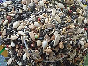 Pets Wizard - Conure Seeds Mix 22 Types of Seeds for All Types of Conures 450 Grams