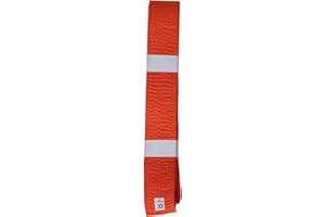 ‎LISARO lisaro Premium Budogürtel, Kampfsportgürtel,Kampfsportgürtel für Karate Judo Taekwondo Ju-Jutsu BJJ | Gr. 160-320 cm | 4 cm breit
