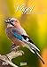 Gr. farbiger Vogelkalender 220119 2019 by 