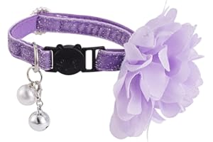 DAIHAQIKO Breakaway Halsband Katzenhalsband mit Glocke Bling Katzenhalsbänder mit Blume niedliche Katzenhalsbänder für Kätzchen Mädchen Junge Katzen Welpen