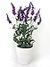 Produktbild artplants Kunstblume Lavendelbusch hell und dunkelviolett im Topf 48 cm