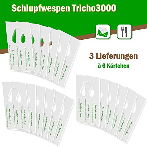 Schlupfwespen gegen Lebensmittelmotten 3 Lieferungen mit je 6 Kärtchen