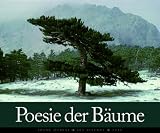Image de Poesie der Bäume 2010. Wandkalender