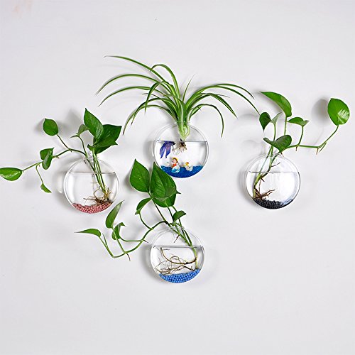 4 Stück aus Glas zum Aufhängen Wand Vase Flower Pflanztopf Behälter Wasser Pflanzkübel Runde Form dia 12 cm