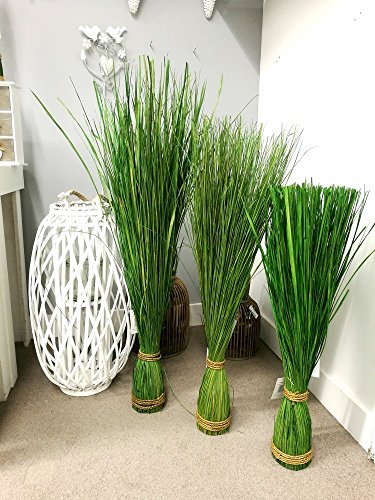 Gras Grasbündel im Garten Grasbund Deko Zweige Grasbüschel (70 cm) - 5