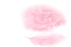 CREATIVERY Piume di marabu, circa 20 pezzi, 12 – 17 cm (rosa 123 / rosa chiaro / rosa chiaro) // piume decorative per bricolage Marabu