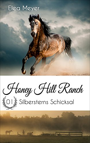 Honey Hill Ranch 01: Silbersterns Schicksal von [Meyer, Elea]