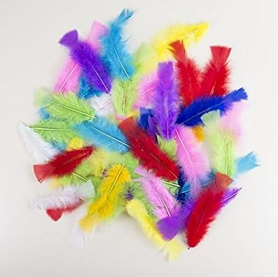 P'TIT CLOWN 14515 Sachet de 50 Plumes 8-12 cm - Multicolore