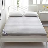 LQ&XL Pliable Anti-dérapant Housse Matelas Japonais,Ultra-Douce épaisse 10cm Tatami Tapis de Sol Futon Respirant Accueil étudiant Dorm,C,120x200cm