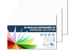 Raylu Paper – Papier Cartonné A3 Coloré, 50 Feuilles Cartonnées, Papier Epais de Couleur, pour l’Ecole, le Bureau, le Scrapbooking, les Activités Manuelles, 297 x 420 mm 180g/m² (Blanc)