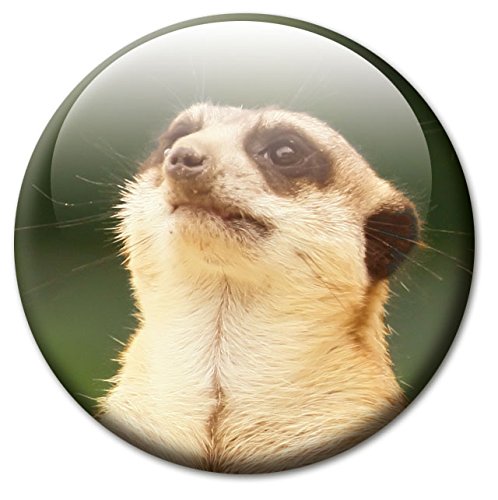 Erdmännchen – Tierische Design Metall Magnettafel 40×30 cm – Pinnwand Memoboard mit Motiv: Erdmännchen – inkl. 4 Magnete mit Motiven von Erdmännchen für Magnetwand – Original Magnetpinnwand GUMA Magneticum - 5