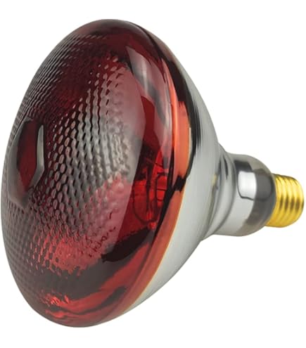 Lampada A Infrarossi Eveready 250W - Vetro Rosso Rubino Con Attacco E27 | Per Riscaldamento E Illuminazione | Durata 5000 Ore - Foto 4