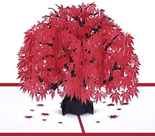 King Gift Tarjeta Cumpleaños, Tarjeta Regalo de 3D Pop-up, Novias, Aniversario, Felicitación, Boda