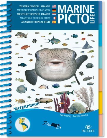 Ebooks gratuits en ligne télécharger EPUB Caribbean Marine Pictolife E-book DJVU FB2 by author