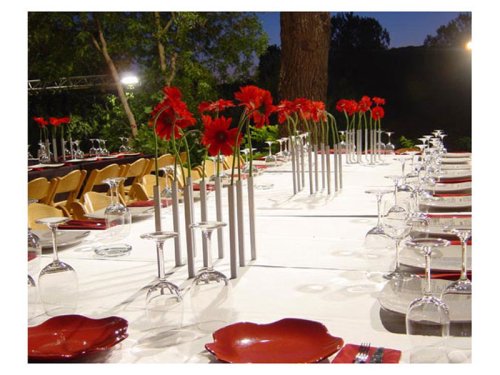 Doiy Magnetische Vasen, 5Stück Magnetic Vase, ausgefallene Tischdekoration für Feste und edle Anlässe, wie Gala, Hochzeit und Firmenfeier - 3