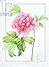 Produktbild Alu-Dibond-Bild 90 x 120 cm: "PD.122-1973.f23 Japanese Tree Peony (Paeonia suffruticosa), 1812 (w/c)", Bild auf Alu-Dibond