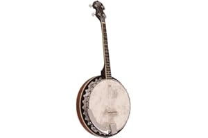 Barnes & Mullins BJ304GT Perfect Series 4 String Banjo
